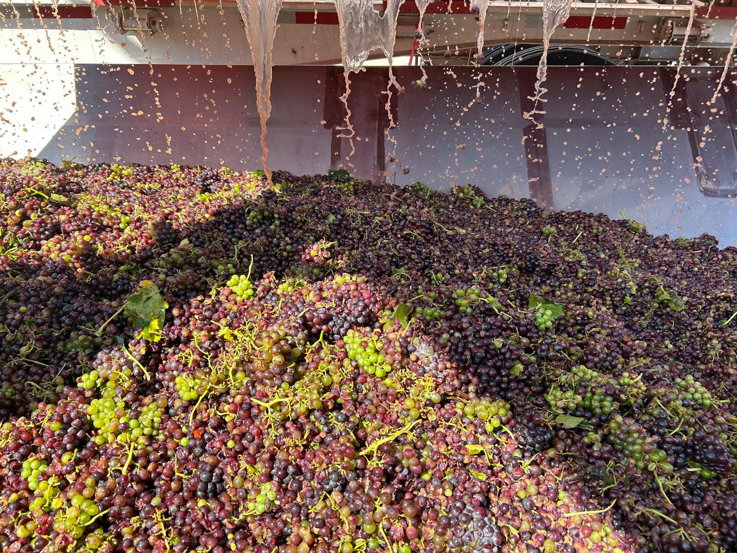 Post Purchase Survey