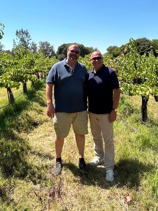 A vineyard visit for grape selection